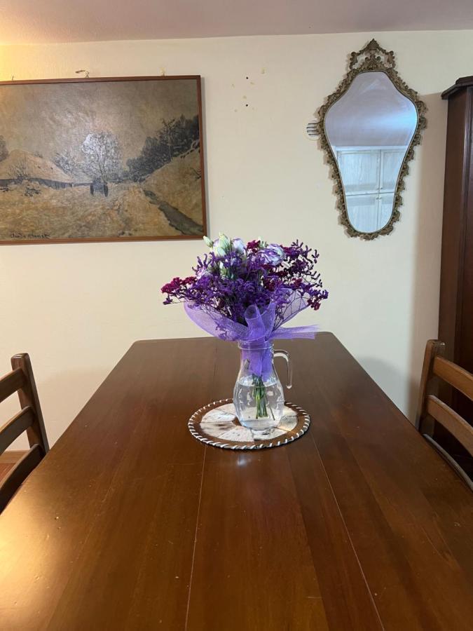 Apartament Cozy House Giulia, Wi - Fi , Parking Rawenna Zewnętrze zdjęcie